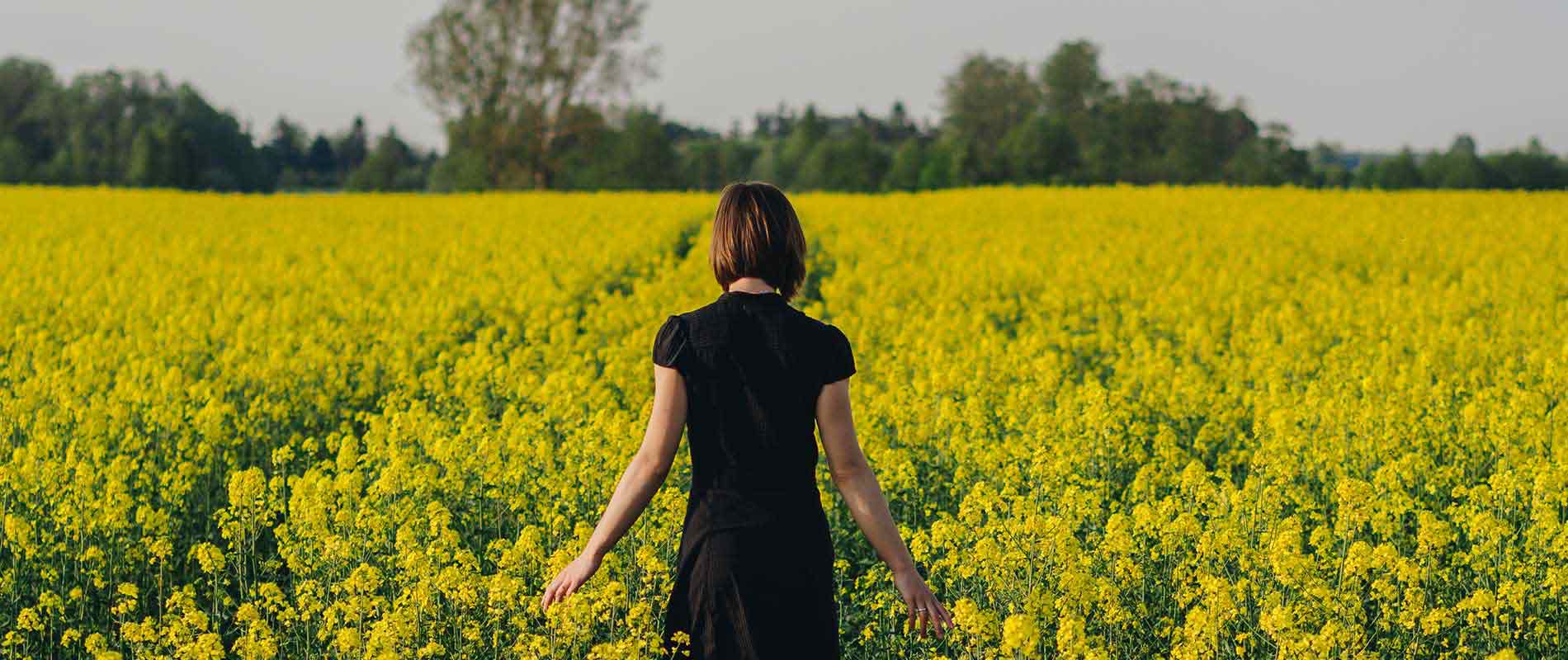 Risorse e potenzialità personali, <br>motivazione e autostima...