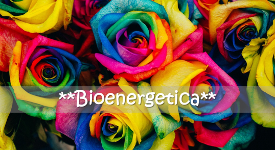 bioenergetica colori